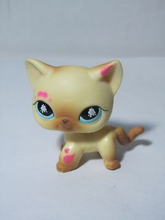 hasbro my little pet shop lps cat from china time