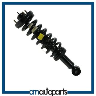 MONROE 181362 Ford F150 Lincoln Mark LT 2WD Front Strut Assembly Econo 