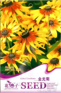   Seed ★ 50 Cutleaf Coneflower Flowers Seeds Lucky Beauty Plant HOT