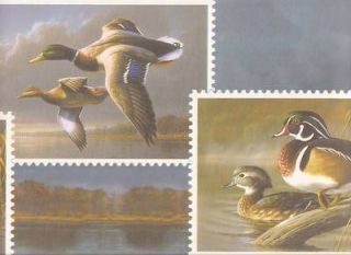 Duck Hunt Stamps by Hautman Brothers Sale $9.95 Wallpaper Border 