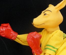 that boxing kangaroo puppet from australia  16