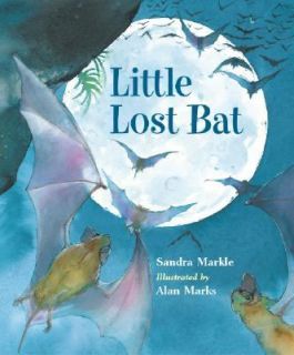 Little Lost Bat by Sandra Markle (2006, 