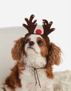 Mud Pie Santa Paws Collection Plush Felt Reindeer Dog Pet Hat Headband