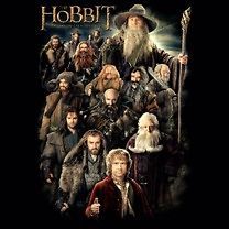 NEW Adult Licensed T Shirt  Lord of The Rings/ The Hobbit With 