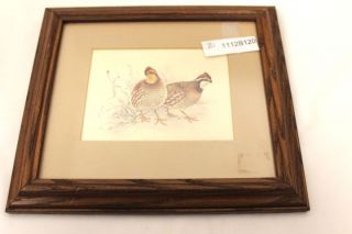 matted framed quail print by m g loates 9 x 11  9 74 or 