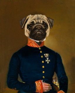 THIERRY PONCELET Pug Arrives dog in costume MILITARY cross soldier 