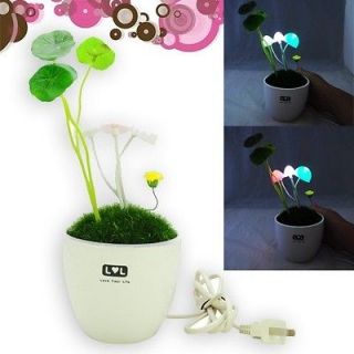   Romantic Mushroom Flower Ceramic Pot Desk Bedroom LED Light/Lamp