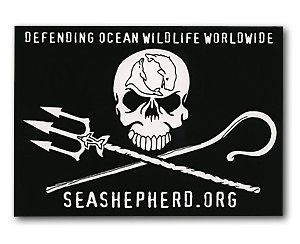 Sea Shepherd Jolly Roger International Sticker   Anti Whaling Pirate 
