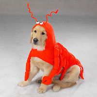 dog lobster paws halloween pet costume xs s m l