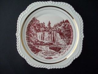 black water falls state park west virginia plate nice time