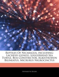 Articles on Reptiles of Nicaragua, Including Lachesis genus 