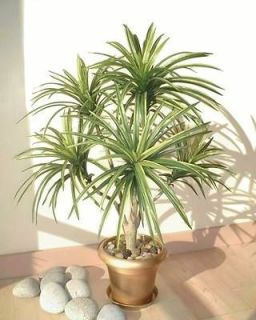  Palm   3ft (91cm)   Artificial Replica Tree Synthetic Imitation Silk 