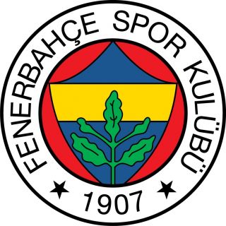 fenerbahce spor turkey soccer football sticker 12 x 12 time