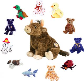 TY BBOM   Beanie Baby of the Month 2004 Set of 12 Different Beanie 