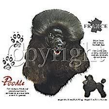 poodle black t shirt size m old shop stock