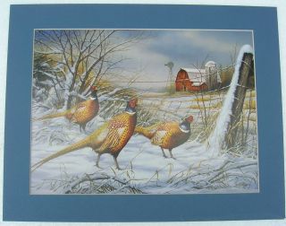 Pheasant Pictures Matted Country Picture Print Interior Home Decor Art
