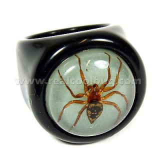 Real Spider on Glow in the Dark Background Ring Black Ring