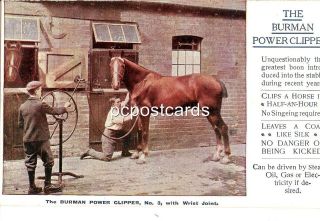 The Burman Power Clipper Clips a horse in half an hour Old Advertising 