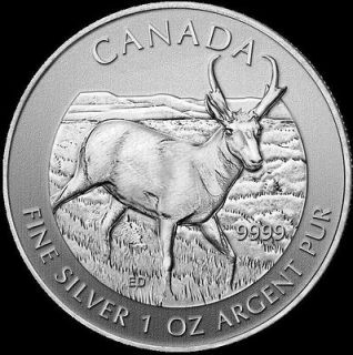 2013 canadian silver pronghorn 5 dollar coin from canada time