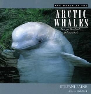   , Bowheads and Narwhals by Stefani H. Paine 1997, Paperback