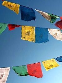 50 x 8.2 inch Tibetan Buddhist COTTON PRAYER FLAGS Hand Made in 