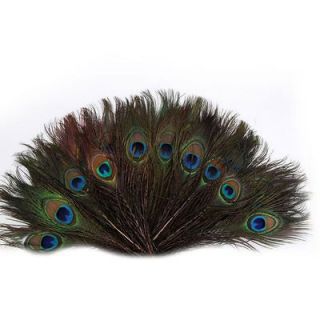 10/20/50 Packs Peacock Tails Natural Feathers Craft/Art/Dress/Bridal 