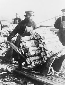 1900s photo Man pushing wheelbarrow, loaded with firewood, Russia Man 