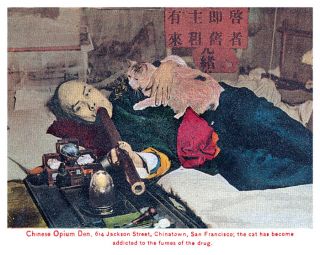 San Francisco Chinatown Opium Den Addicted Cat Poster