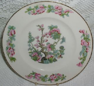 Aberdeen China Indian Tree Pattern Pink with Green Leaf