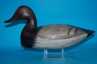 Canvasback Duck Decoy Chincoteague Ira Hudson 1876 1949