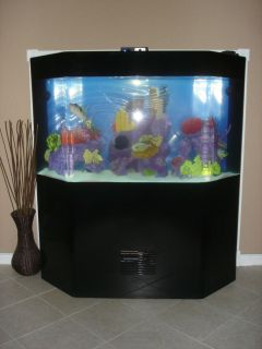 Custom Acrylic Aquarium 180 gallons Seavisions Livingcolor The Fish 