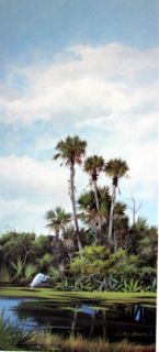 neil adamson southern palms everglades hammock heron