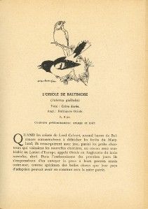 Charmants Voisins Oiseaux Québec Claude Melancon Melançon 1954