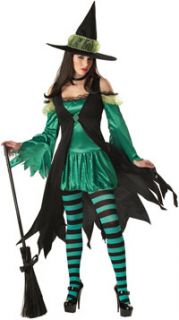 Womens 6 8 Adult Emerald Witch Costume Witch Costumes