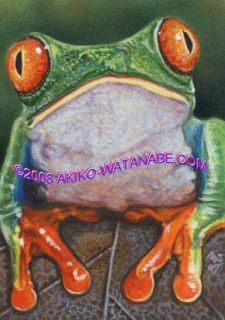 Akiko L E ACEO Print of Green Tree Frog 4 Painting Art