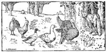 Illustration in English Fairy Tales , for Henny Penny [ 2 ]