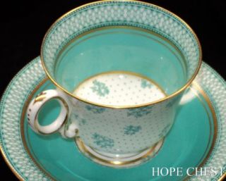 Paladin Hughes Polka Dot Rose Turq Tea Cup and Saucer