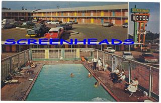 1966 Route 66 Amarillo Texas Plainsman Motel Postcard
