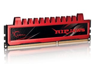 SKILL Ripjaws Series 8GB (2 x 4GB) 240 Pin DDR3 SDRAM DDR3 1066 (PC3 