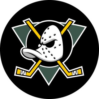Anaheim Mighty Ducks NHL Hockey Car Sticker 4X4