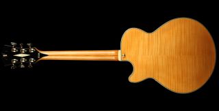 Angelico EX SS Electric Guitar Semi Hollowbody Tune O Matic Bridge 