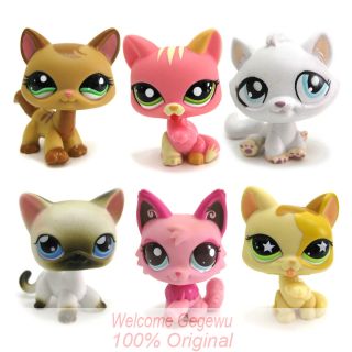    Littlest Pet Shop Cat set Animals Figures Loose Collection girl toys