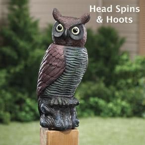   Sensor Owl Head Spins Hoots Loudly for Garden Scares Animals Away NEW