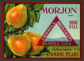   Authentic Seattle Washington DAnjou Pear Fruit Crate Label