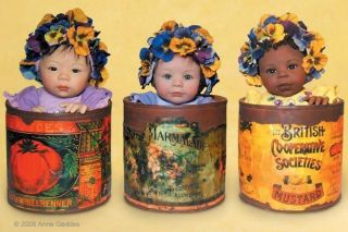 Sold Out Anne Geddes Laura Tuzio Ross 3 Pansy in Pot Babies