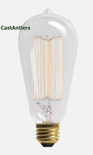 Six 6 Edison Light Bulb Free Priority Shipping Antique Retro 60 Watt 