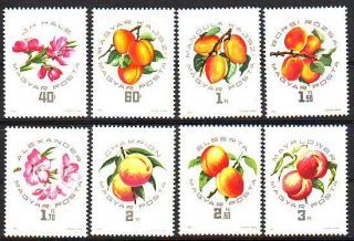 Hungary 1964 National Peaches and Apricots Exh MNH