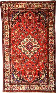 Limited Time Only 75 Off Persian 50 x 85 Borchelu Rug