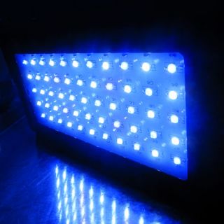 Dimmable 165W LED Aquarium Grow Light Royal Blue 10000K White Marine 
