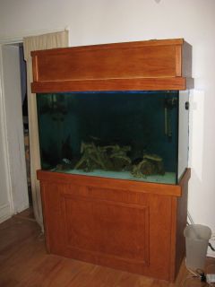 115 Gallon Fish Tank Canopy and Stand fully functional aquarium